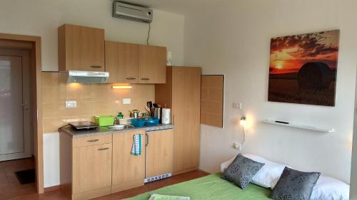 a small kitchen with a sink and a counter at Apartmaji Suhorje in Suhorje