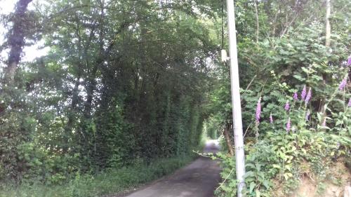 a dirt road with trees and a pole on the side at La martre in Saint-Sylvestre-de-Cormeilles