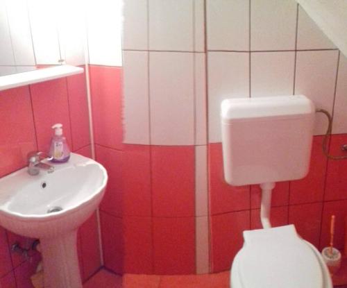 Galeriebild der Unterkunft Pensiunea Denis in Cîrţişoara