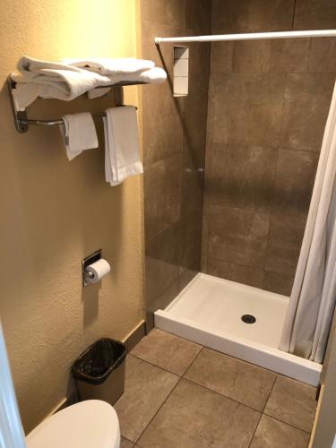 a bathroom with a shower and a toilet at Arlington Inn in Riverside