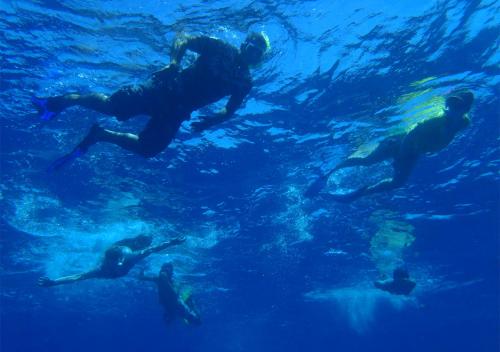 a group of people swimming in the water at Maqai Beach Eco Resort in Qamea