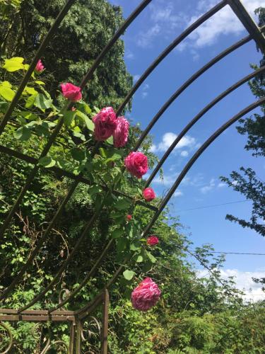 Photo de la galerie de l'établissement Le Cottage Mirabelle, à Épaignes