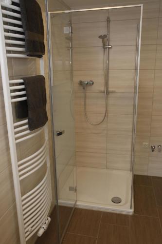 a shower with a glass door in a bathroom at Altes -Haus in Gattendorf