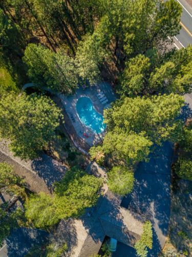 an overhead view of a swimming pool in a forest at LOGE Bend in Bend