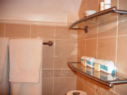 a bathroom with a toilet and a towel at Maryville Bed and Breakfast in Nenagh