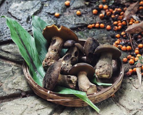 a basket of mushrooms sitting on a rock at You Ran Tai in Jinghong