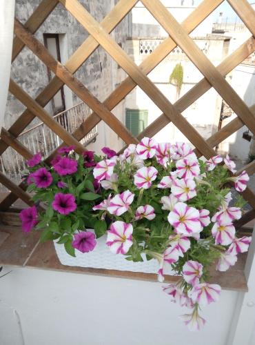 Casa Destradis B&B – Photos 5