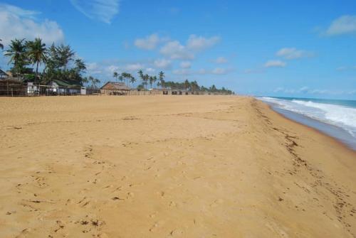 a sandy beach with palm trees and the ocean at Havre de paix in Cotonou