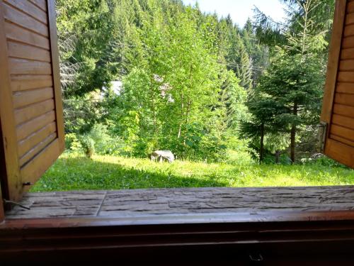 a view of a deer in the grass from a window at Chata Safran in Donovaly