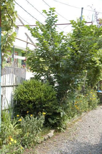 Zahrada ubytování Guest House Barbi