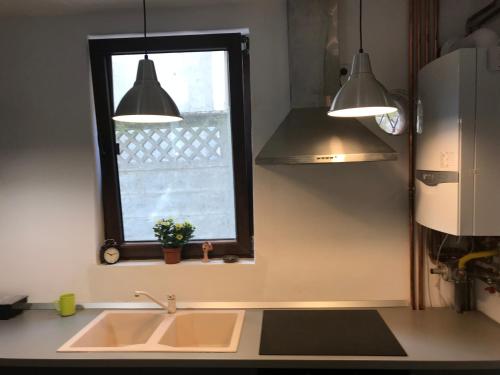 Fotografie z fotogalerie ubytování Passpartout Hostel v destinaci Temešvár
