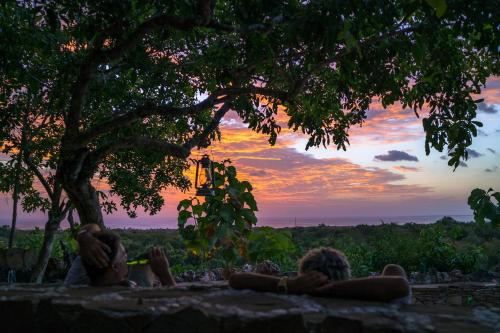 two people sitting under a tree watching the sunset at Utopia Rote Lodge in Nembrala