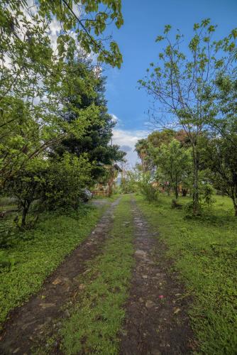 a dirt road in the middle of a field with trees at Yangsum Heritage Farm in Rinchingpong