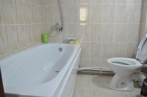 a bathroom with a white tub and a toilet at Alexys Residence 7 in Iaşi