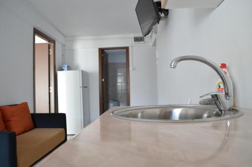 a kitchen with a sink in a counter top at Alexys Residence 9 in Iaşi