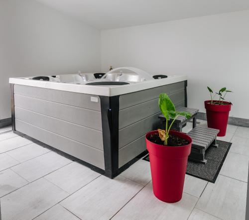 uma banheira de hidromassagem com dois vasos de plantas num quarto em Gite Manttu em Urrugne