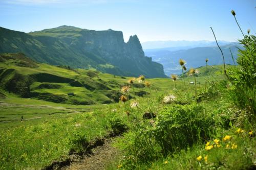 a grassy hill with a mountain in the background at Schlossblick in Vols am Schlern