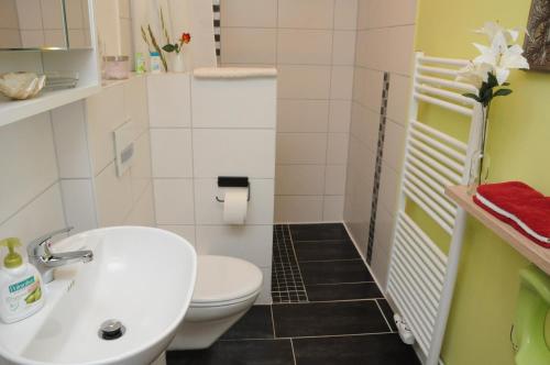 uma pequena casa de banho com WC e lavatório em Grooten Wiebkings em Schneeren