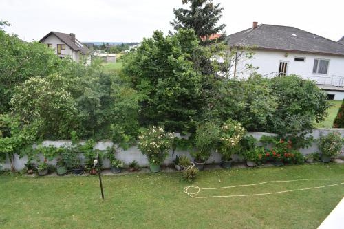 Fotografie z fotogalerie ubytování Pension Weinberg v destinaci Mörbisch am See