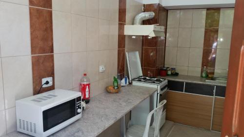 Η κουζίνα ή μικρή κουζίνα στο Casa Razvan Vama Veche