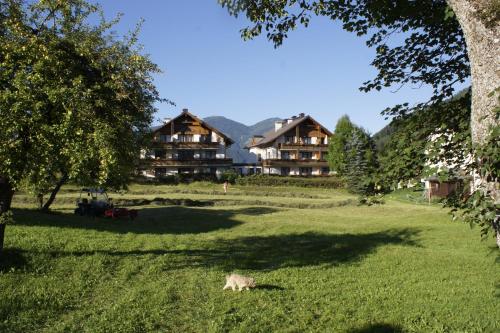 a cat laying in the grass in front of some buildings at appartementen Haus Bergblick in Gosau