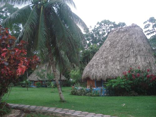 a palm tree and a house with a thatch roof at Banana Bank Lodge & Jungle Horseback Adventures in Belmopan