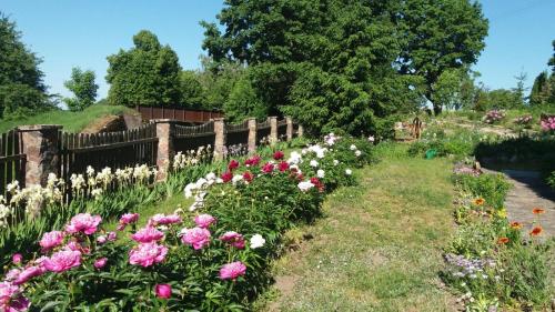 Ein Garten an der Unterkunft Nad stawem