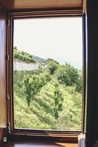 a window view of a field from a train at KERCULLA Resort in Gjirokastër