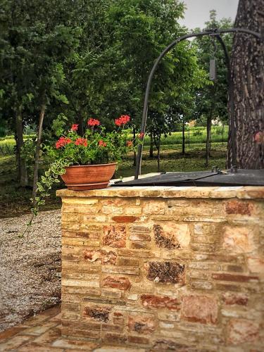 Κήπος έξω από το Villa Licinia