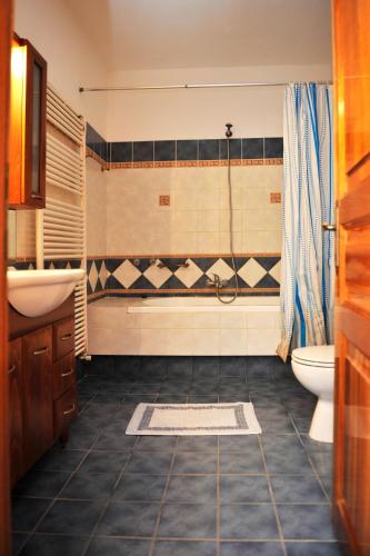 a bathroom with a shower and a sink and a toilet at Nina Areti in Skiathos