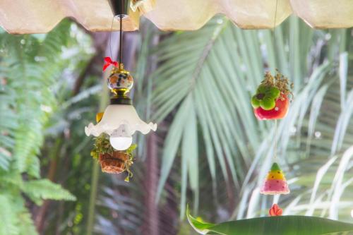 a group of different types of hanging plants at Khao Sok Palmview Resort in Khao Sok
