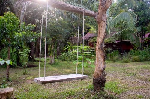 a swing in a yard next to a tree at Khao Sok Palmview Resort in Khao Sok