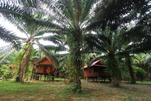 a couple of palm trees in front of a house at Khao Sok Palmview Resort in Khao Sok
