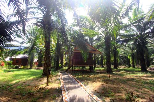 a park with trees and palm trees at Khao Sok Palmview Resort in Khao Sok National Park