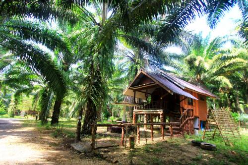 a small house in front of a palm tree at Khao Sok Palmview Resort in Khao Sok