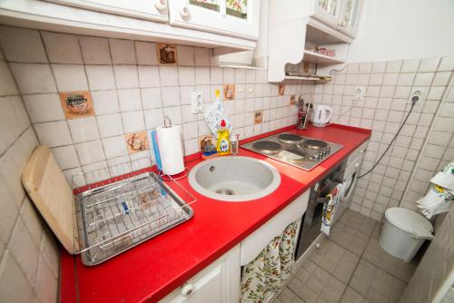 Η κουζίνα ή μικρή κουζίνα στο Apartment Resavska