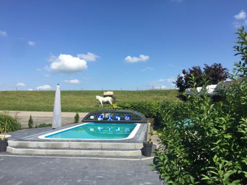 a swimming pool with a horse statue in a field at Hafners im Allgäu in Kißlegg