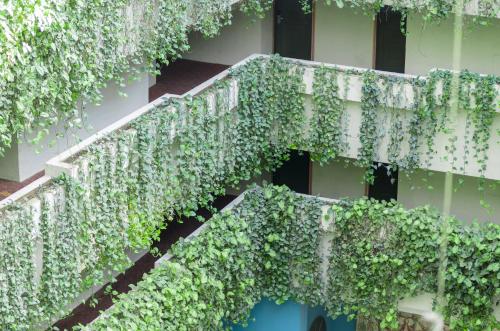 a building with plants growing on the side of it at Hotel San Francisco Leon in León