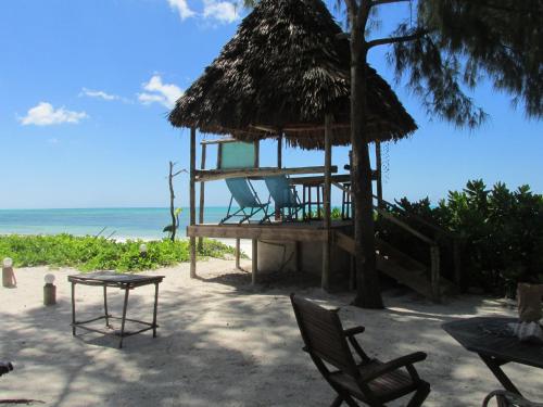 a hut with chairs and a table on a beach at Driftwood Beach Lodge in Jambiani