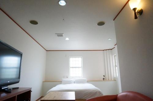 a bedroom with a bed and a tv and a window at Awajishima Hotel Lodge GREEN COZY in Minamiawaji