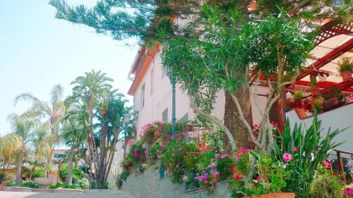 PARADISO Hotel Ristoranteにある庭
