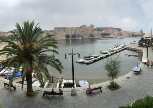 科利尤爾的住宿－Résidence Collioure Plage，享有海港和水中船只的景色