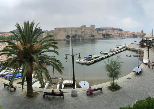 a view of a harbor with boats in the water at Résidence Collioure Plage in Collioure