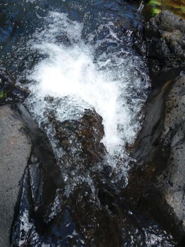 una corriente de agua agitando las rocas en Ti Plèn Kréol, en Pointe-Noire