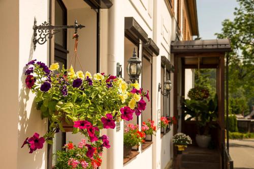 a bunch of flowers hanging on the side of a building at Landhaus Bergidyll in Bärenstein