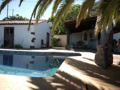 a swimming pool in front of a house with a palm tree at Casa Domi in La Esperanza