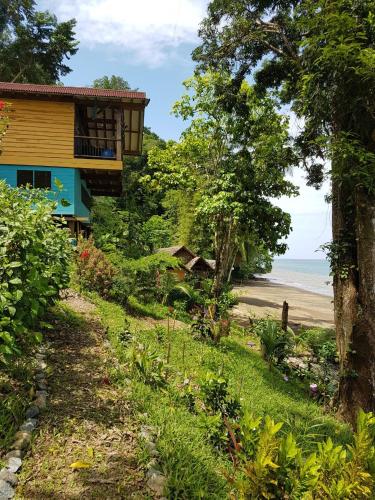 a house on a hill next to a beach at Ecolodge el Arca Bahia Solano in Bahía Solano