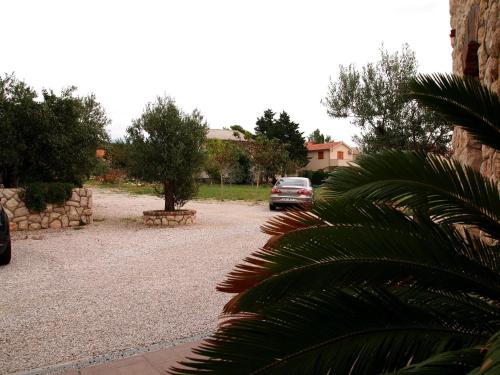 Сад в Hotel Villa Barbat