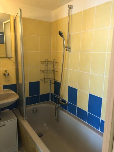 GottwaldHaus - Apartment في Brand-Erbisdorf: حمام مع حوض استحمام ودش ومغسلة