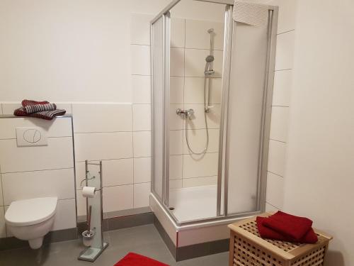 La salle de bains est pourvue d'une douche et de toilettes. dans l'établissement Ferienoase, à Pirna